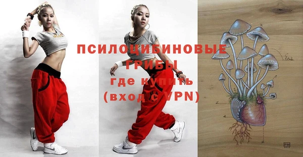крисы Липки