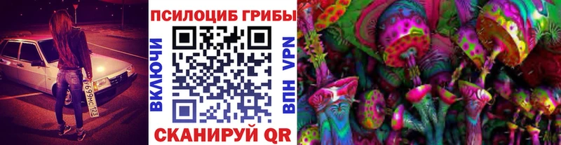 где купить наркоту  Людиново  Галлюциногенные грибы мицелий 
