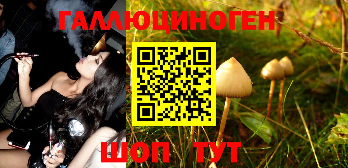 Псилоцибиновые грибы Magic Shrooms  Людиново  Псилоцибиновые грибы мицелий 